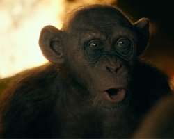 Apart from acting, Zahn has done various voice roles including the voice of Bad Ape in the science fiction film 